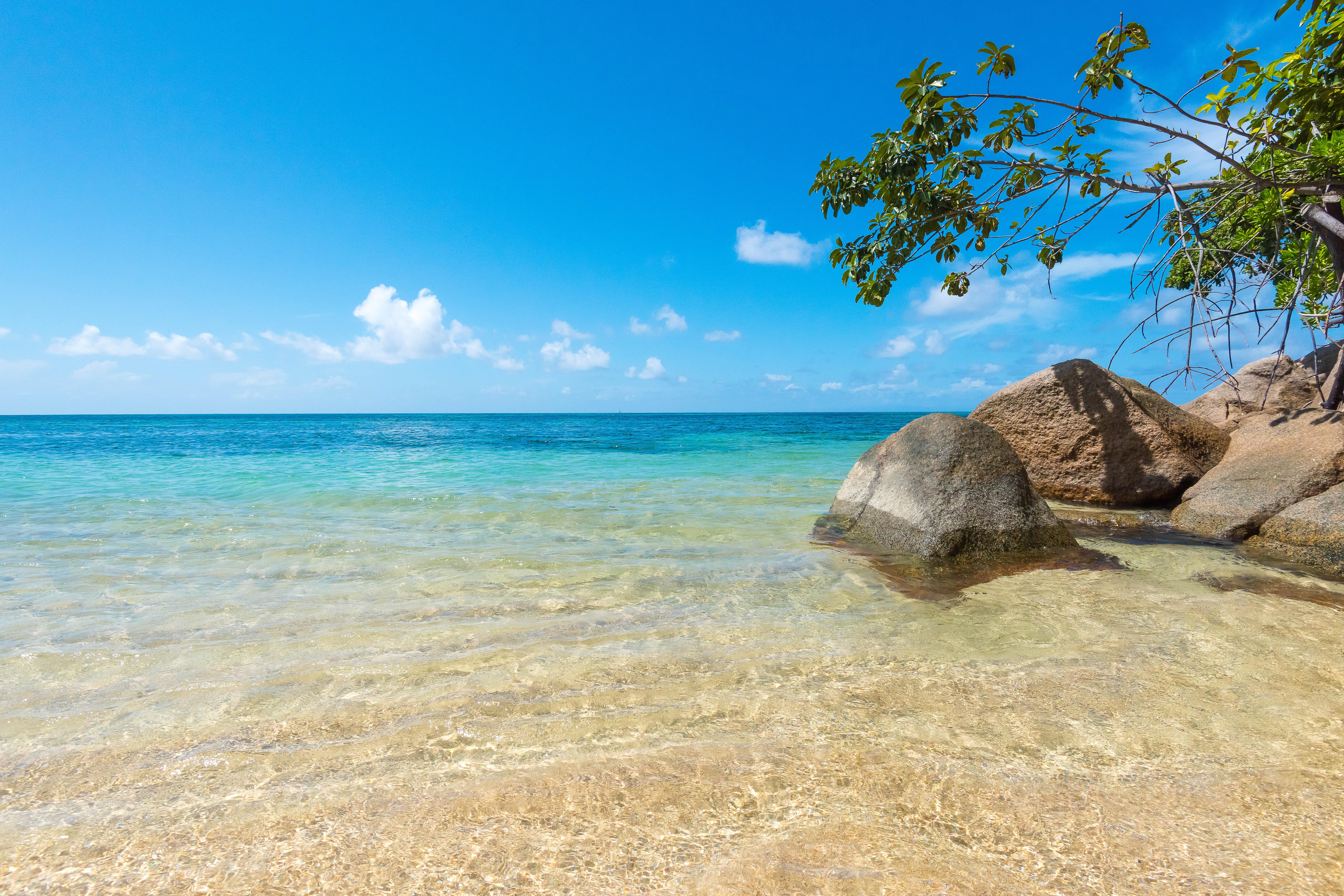 Coco De Mer Hotel And Black Parrot Suites Grand Anse  Exterior photo